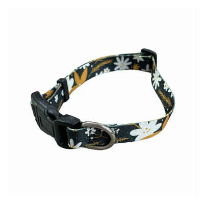 Recycled PET Dog Collar